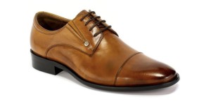 96f106aac9719b41ea6c4a88c81de026